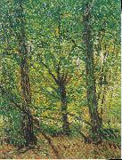 Vincent Van Gogh, Trees and Undergrowth